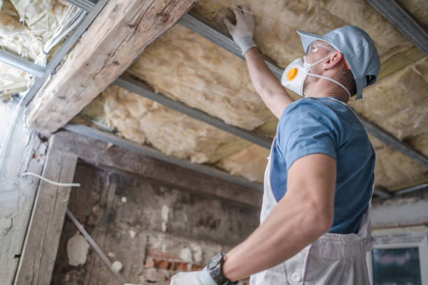 Best Insulation for Specific Applications in North Branch, MN