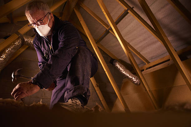 Best Residential Insulation in North Branch, MN